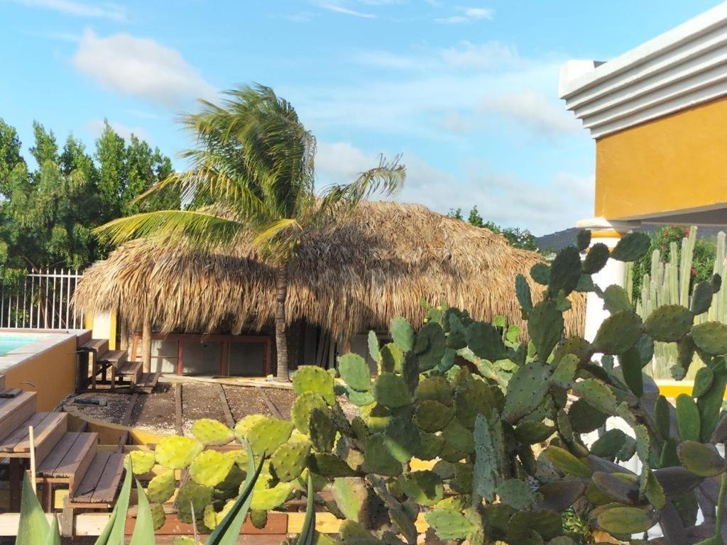 Landhuis Belnem Bonaire Playa Dış mekan fotoğraf